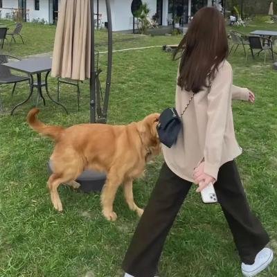 只因你是女子